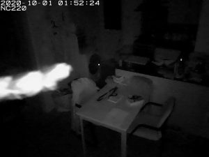 Steve 5 300x225 Copy